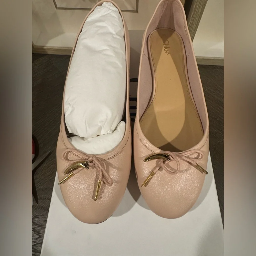 Chloé Iris leather ballet flats. Pink Blush. Size 41 New in Box. Authentic